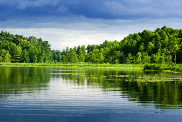 Prirodni fenomen kod Kopaonika: Jezero sa plutajuæim ostrvima, a nema dno