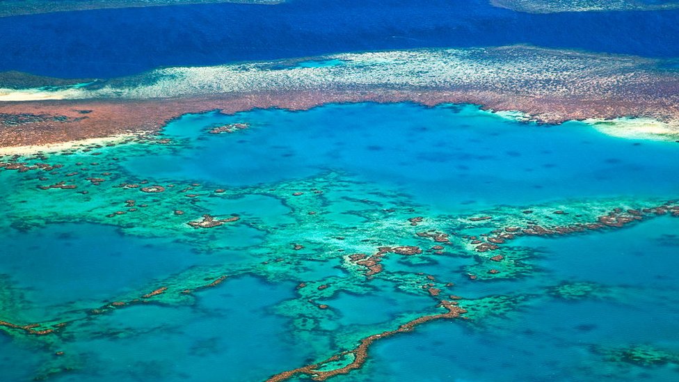 More i priroda: Najvećem koralnom grebenu na svetu preti ozbiljna opasnost