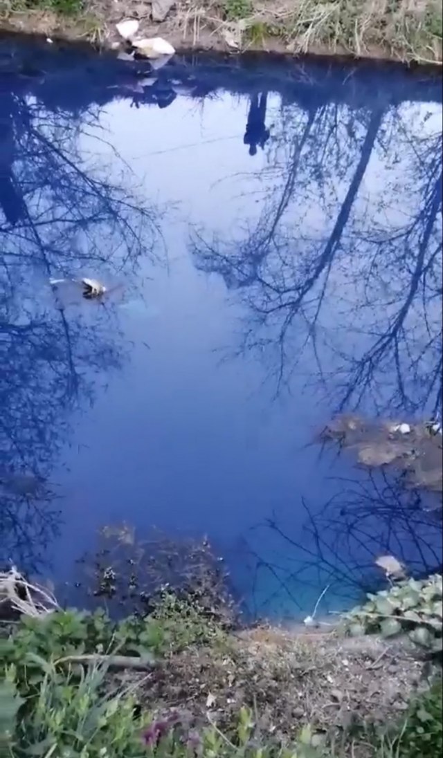 Reka kod Lazarevca postala azurno plava: Ne, ovo nije èudo prirode, veæ užas èoveka VIDEO