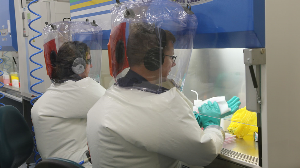 Korona virus: Nauènici u Australiji zapoèeli testiranje moguæih vakcina