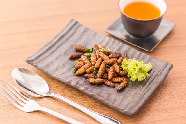 Gastronomska prekretnica: EU uskoro odobrava prodaju insekata za ishranu ljudi