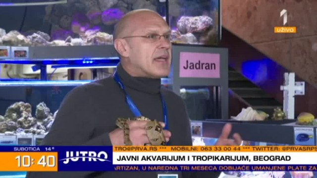 Javni akvarijum i tropikarijum Beograd nema više nikakvih prihoda VIDEO