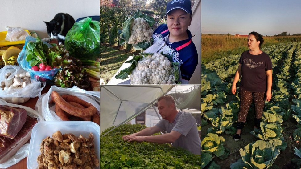 Korona virus i poljoprivreda u Srbiji: Volonteri menjaju način prodaje domaće hrane u Srbiji