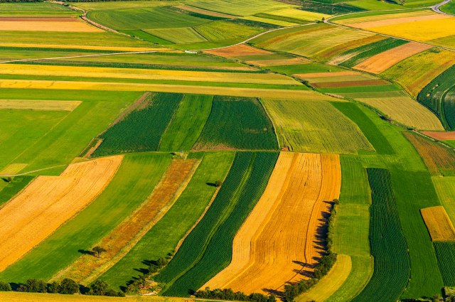 Predsednik Ukrajine potpisao ukidanje moratorijuma na prodaju poljoprivrednog zemljišta