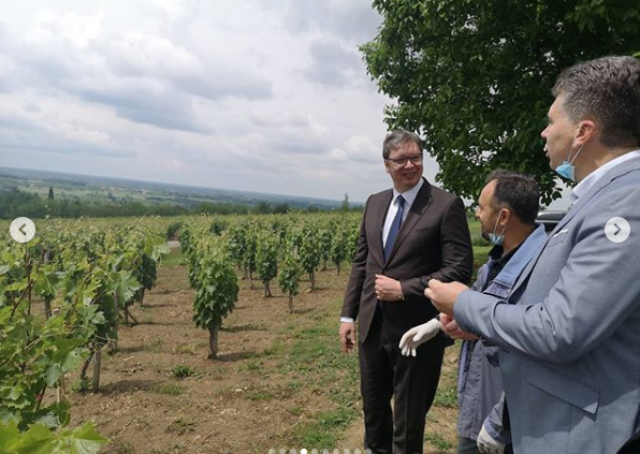 Vučić posetio vinariju Despotika