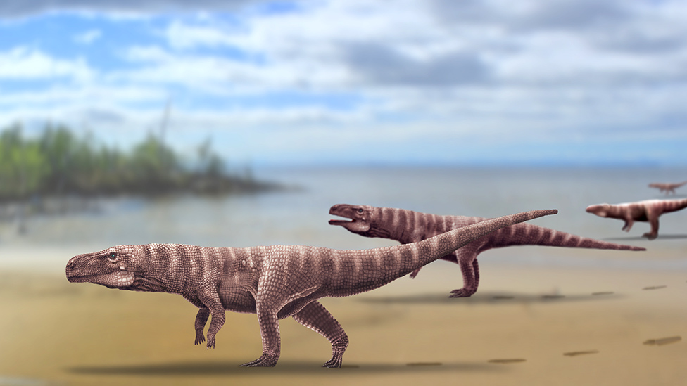 Nauka i dinosaurusi: Da li su pronađeni ostaci drevnog krokodila koji je hodao na dve noge