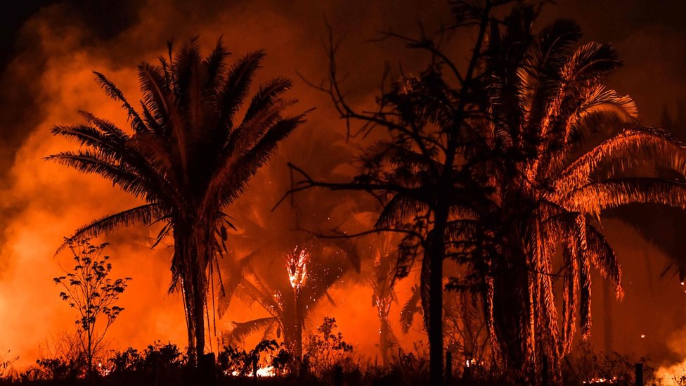 Požari u Amazoniji: Najviše vatre u poslednjih 13 godina