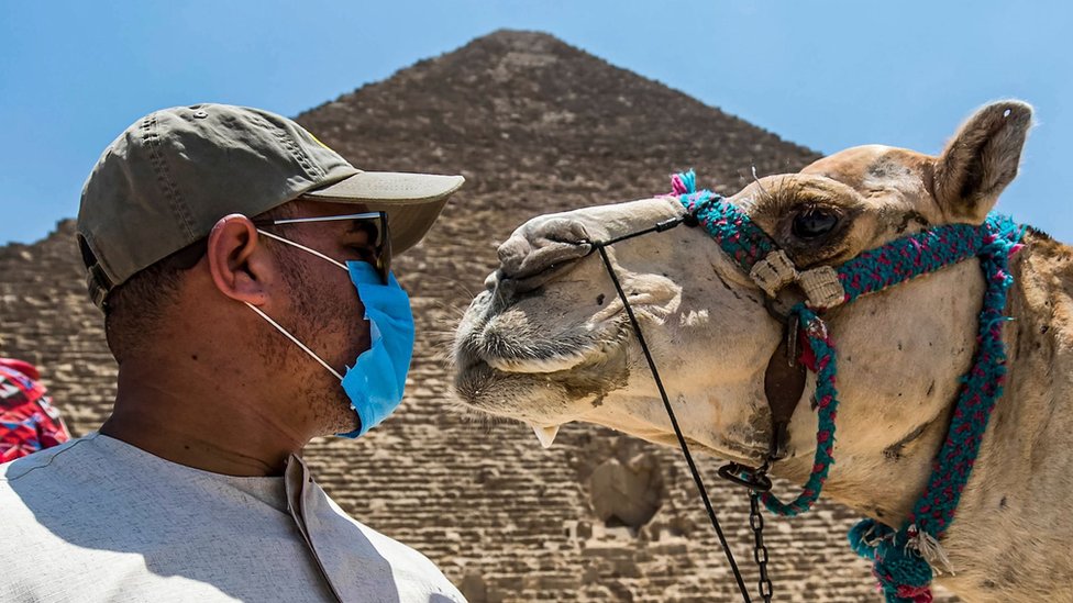 Korona virus i Egipat: Kako su propala očekivanja turističke industrije