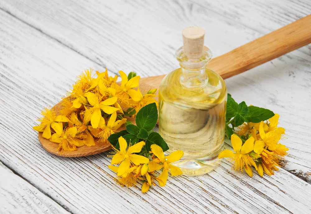 Zaceljuje rane, leči opekotine i proširene vene: Napravite sami KANTARIONOVO ULJE!