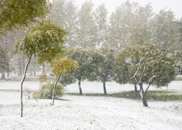 Zimska idila u avgustu: Pao sneg u dve zemlje VIDEO