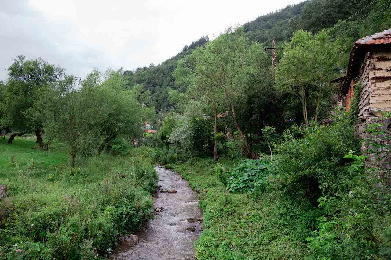 Selo Rakita i njegova reka - simbol otpora staroplaninskih aktivista/BBC/Lazara Marinković