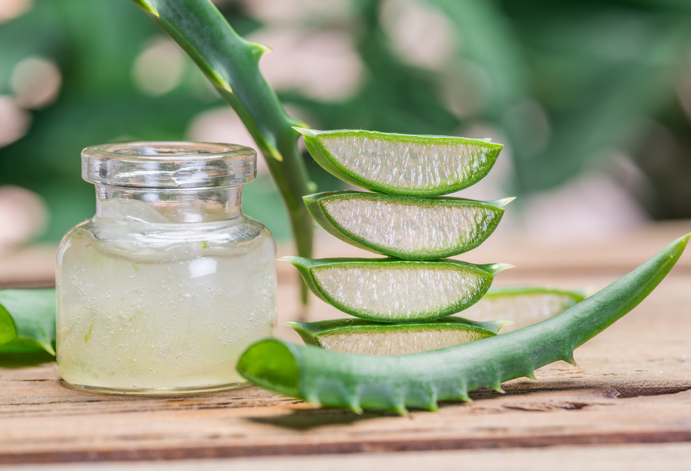 Pomoć iz prirode: Aloe vera čini čuda za vašu kožu - smiruje opekotine, 