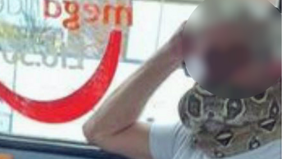 Korona virus: Nosio zmiju kao masku u gradskom prevozu