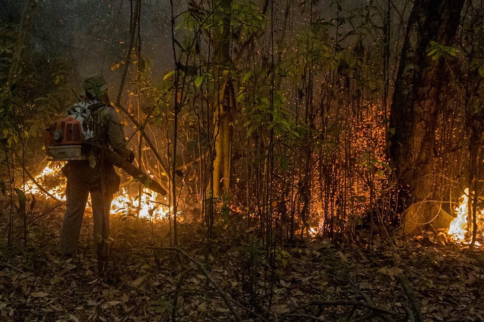 U fotografijama: Šumski požari opustošili najveæu svetsku moèvaru