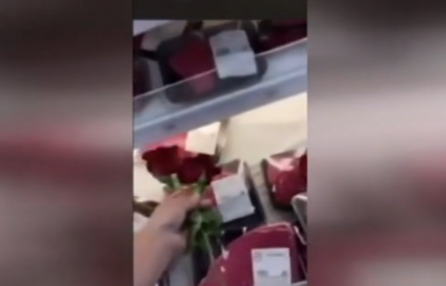 Stavljaju ruže na meso u supermarketu: Aktivisti protiv ubijanja životinja VIDEO