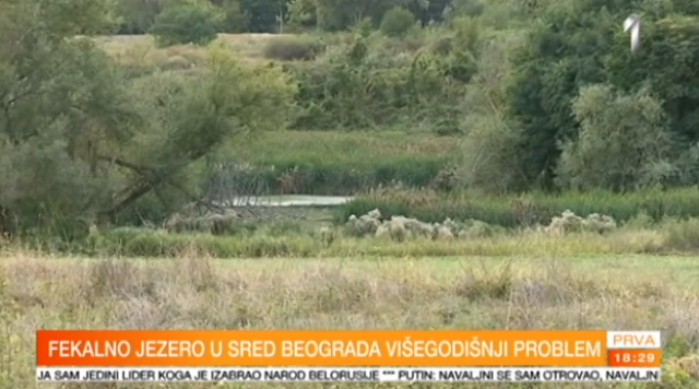 Fekalno jezero se ponovo formiralo u Beogradu VIDEO
