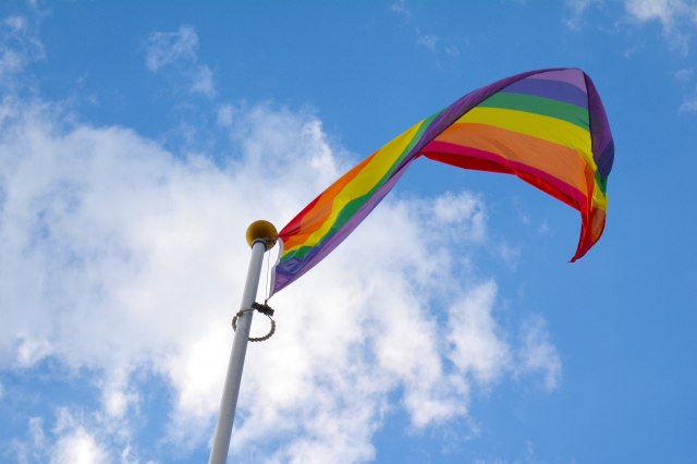 Novo pravilo: Firme u upravnim odborima moraju imati homoseksualce i manjine