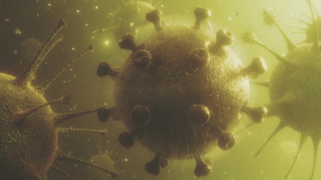 Upozorenje iz Rusije: Postoji rizik od epidemije veštaèkih virusa