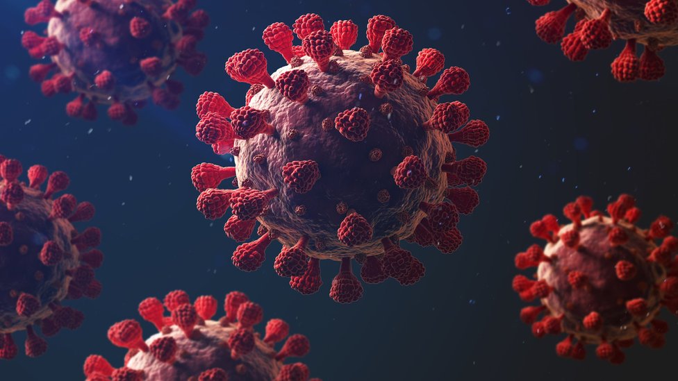 Korona virus: Zašto je toliko smrtonosan