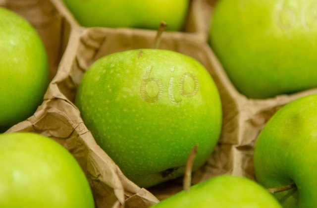 Mobilna aplikacija za voćare: Saveti za zasade jabuka dostupni na klik
