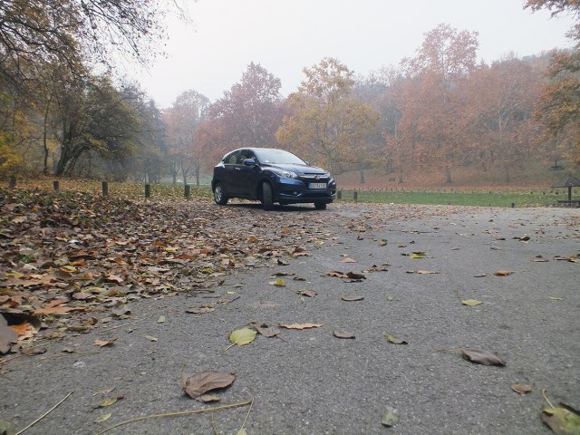 Jesenje brige vozaèa: Zašto je važno da oèistite opalo lišæe sa automobila
