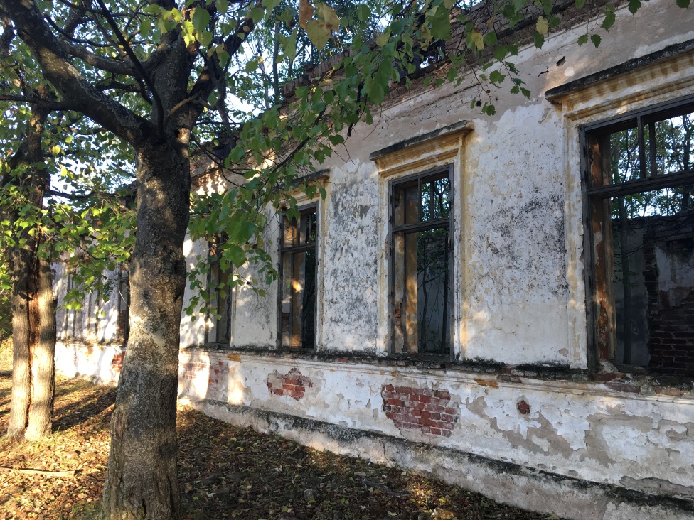 Oronule zidine najstarije škole u jugoistočnoj Srbiji/BBC