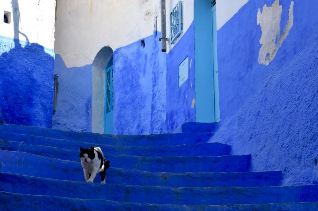 Maroko - plavi grad Šefšauen (Šefšaen)