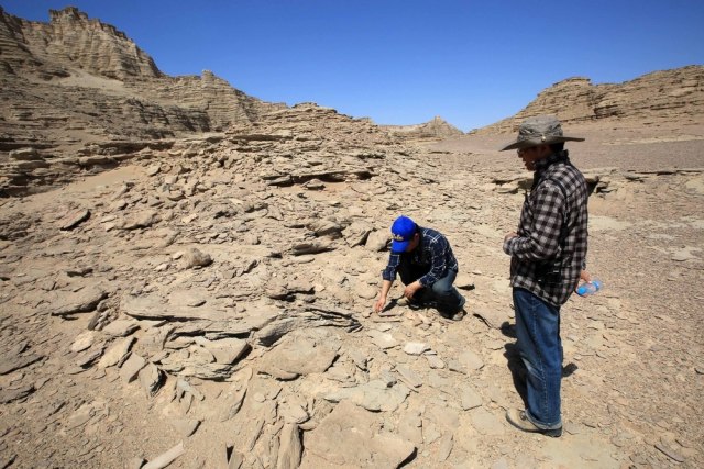 Kineski naučnici pronašli fosil trilobite star 500 miliona godina