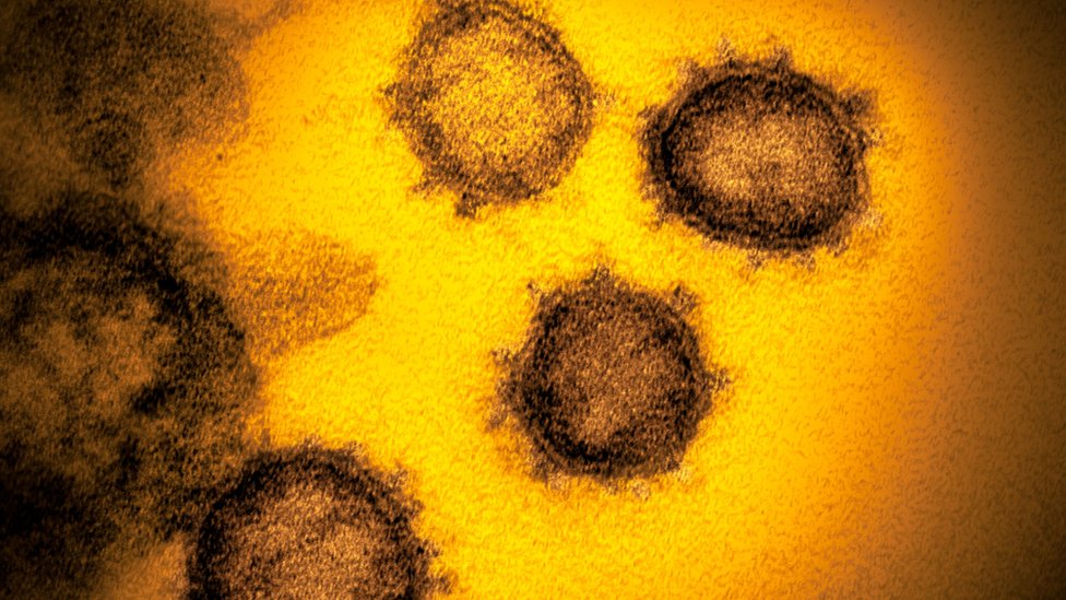 Korona virus: Zašto neki ljudi imaju teži oblik bolesti - odgovor je u genima