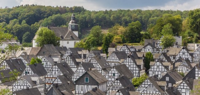 Neverovatan nemaèki gradiæ u šumi: Sve kuæe lièe jedna na drugu FOTO