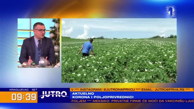 "Vlada usvojila uredbu za 53 milijarde dinara subvencija u poljoprivredi" VIDEO