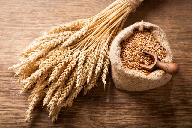 Izvezeno 260.000 tona pšenice, na zalihama još 1,7 miliona