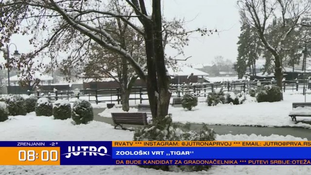 Zoološki vrt u Jagodini pod snegom, šta rade životinje? VIDEO