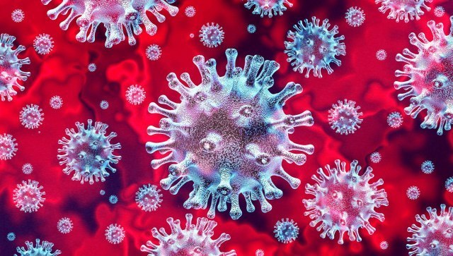 Scientists in fear: Co-infection discovered