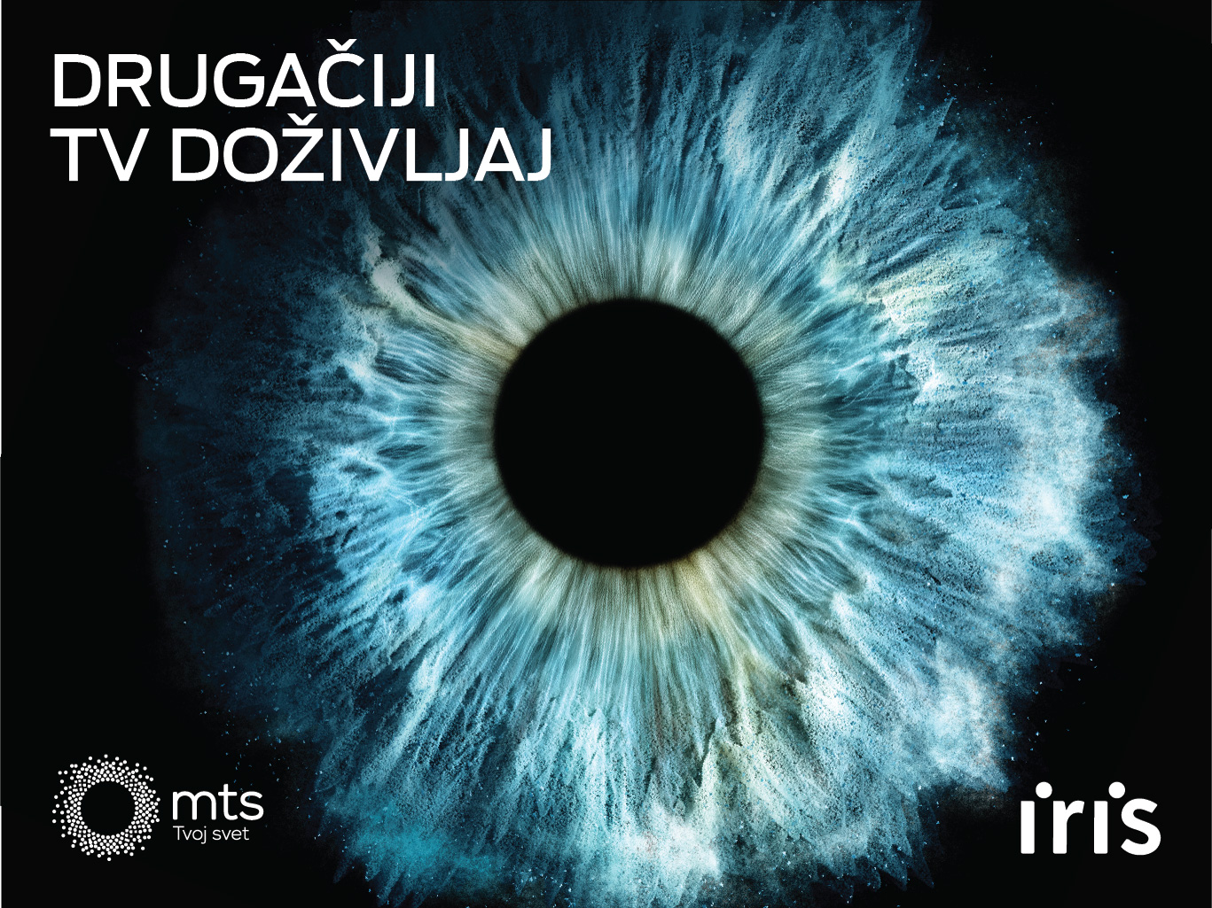 iris TV preporučuje – ekskluzivni sadržaji za svačiji ukus