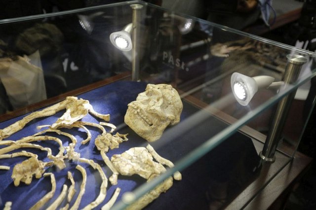 Naučnici istražili fosil Litlfuta starog 3,67 miliona godina