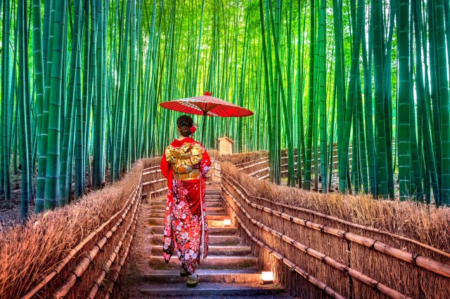 Ikigai – japanska drevna tajna za dug i sreæan život bez stresa