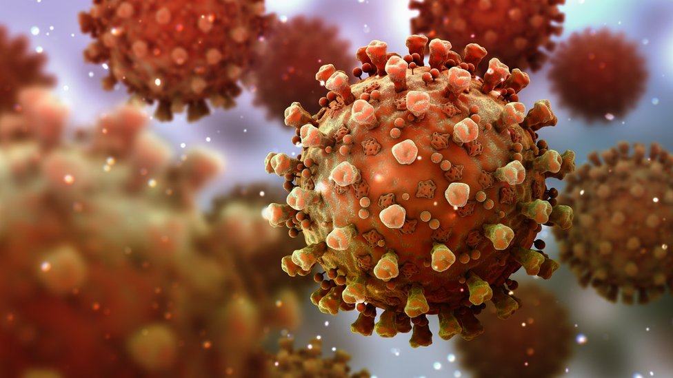 Korona virus: Šta ako niste razvili antitela posle vakcine - ima nešto što vas štiti