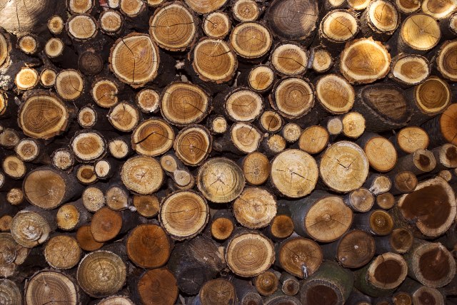 Prodavci drva u Jagodini prate vremensku prognozu: Cena 40 do 45 evra po kubnom metru
