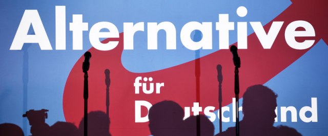 "Altenativa za Nemaèku" se izjasnila kao anti-lokdaun partija