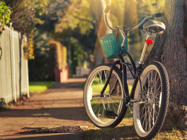 Teška kraða: Iz korpe bicikla Novosaðanke ukrao torbu