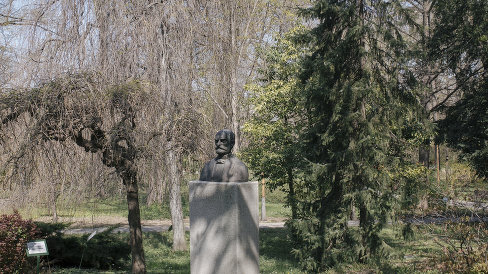 Panèiæeva bista pored njegove omorike u Botanièkoj bašti/Vladimir Živojinoviæ