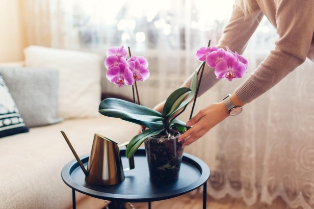 Unesite proleće u svoj dom: Ideje za male dekoracije