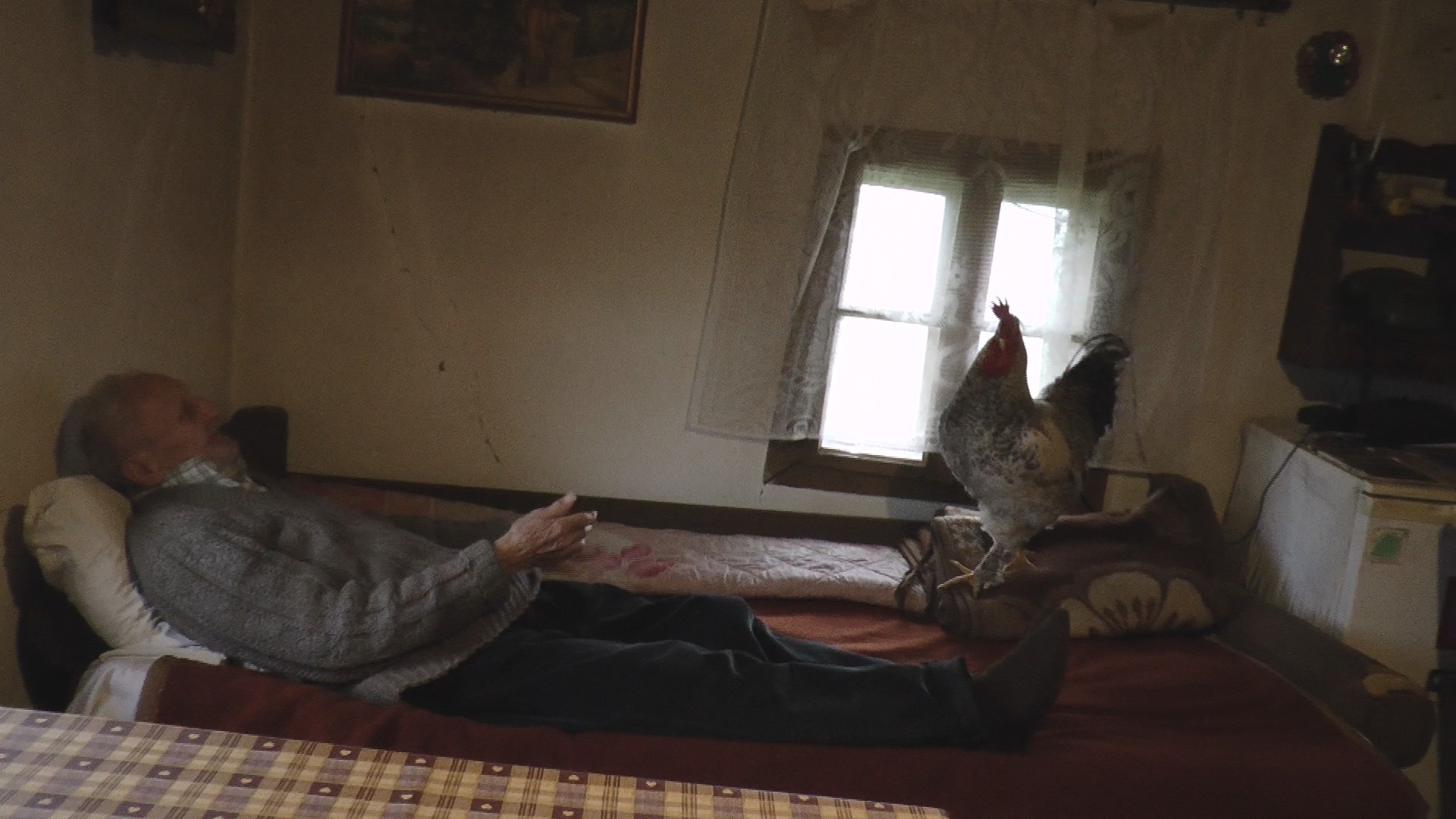 Nećete verovati - Subota, 24. april - Miladin ima prijatelja koji mu peva kad sviće