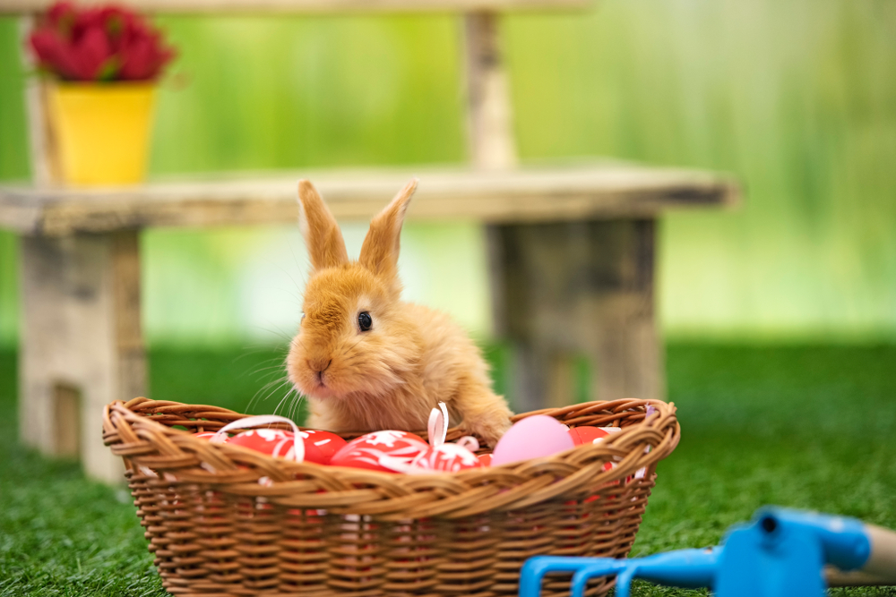 Danas je NAJSREĆNIJI UTORAK U CELOJ GODINI: Na VASKRŠNJI UTORAK dobro je uraditi jednu stvar