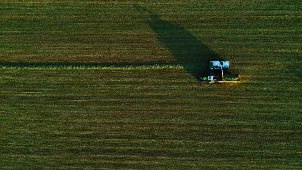 Evropa i poljoprivreda: Belgijski farmer sluèajno pomerio granicu sa Francuskom