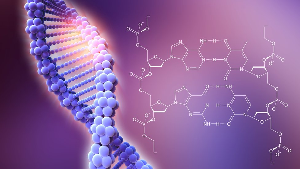 Nauka i tehnologija: Nauènici našli naèin da saèuvaju informacije direktno na DNK