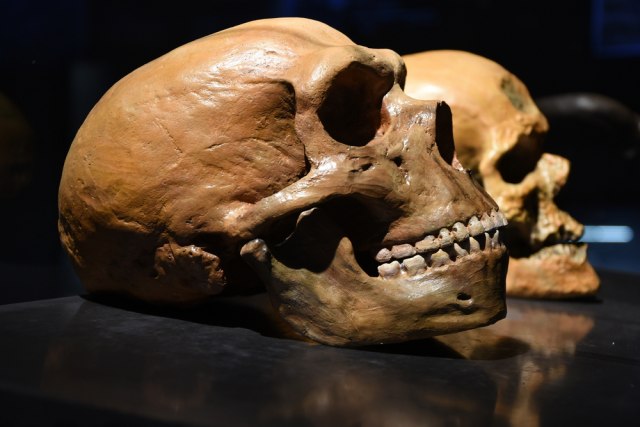 U Italiji pronaðeni ostaci neandertalaca stari 60.000 godina