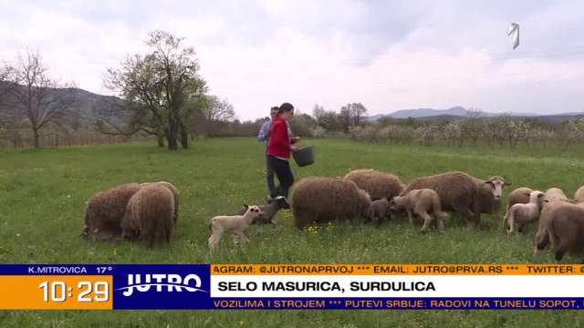 Selo u kom se i mladi bave stočarstvom - a taj posao i vole VIDEO