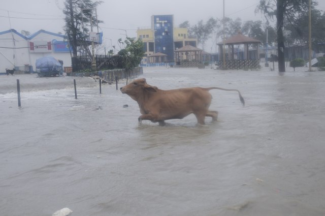 Korona, ciklon, poplave i strah od još korone FOTO